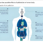 L’Union européenne est sur la bonne voie pour réduire les effets de la pollution atmosphérique sur la santé de plus de 55 % d’ici à 2030 par rapport à 2005