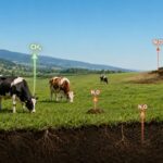 Prairies et élevage : que dit l’inventaire national des gaz à effet de serre ?